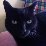 TRUDY