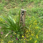 IMG_20250725_195455_109