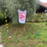 IMG_20250725_195521_712