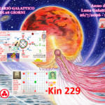 229 (2)